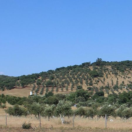 Girassol Alojamento Local Montemor-o-Novo Dış mekan fotoğraf