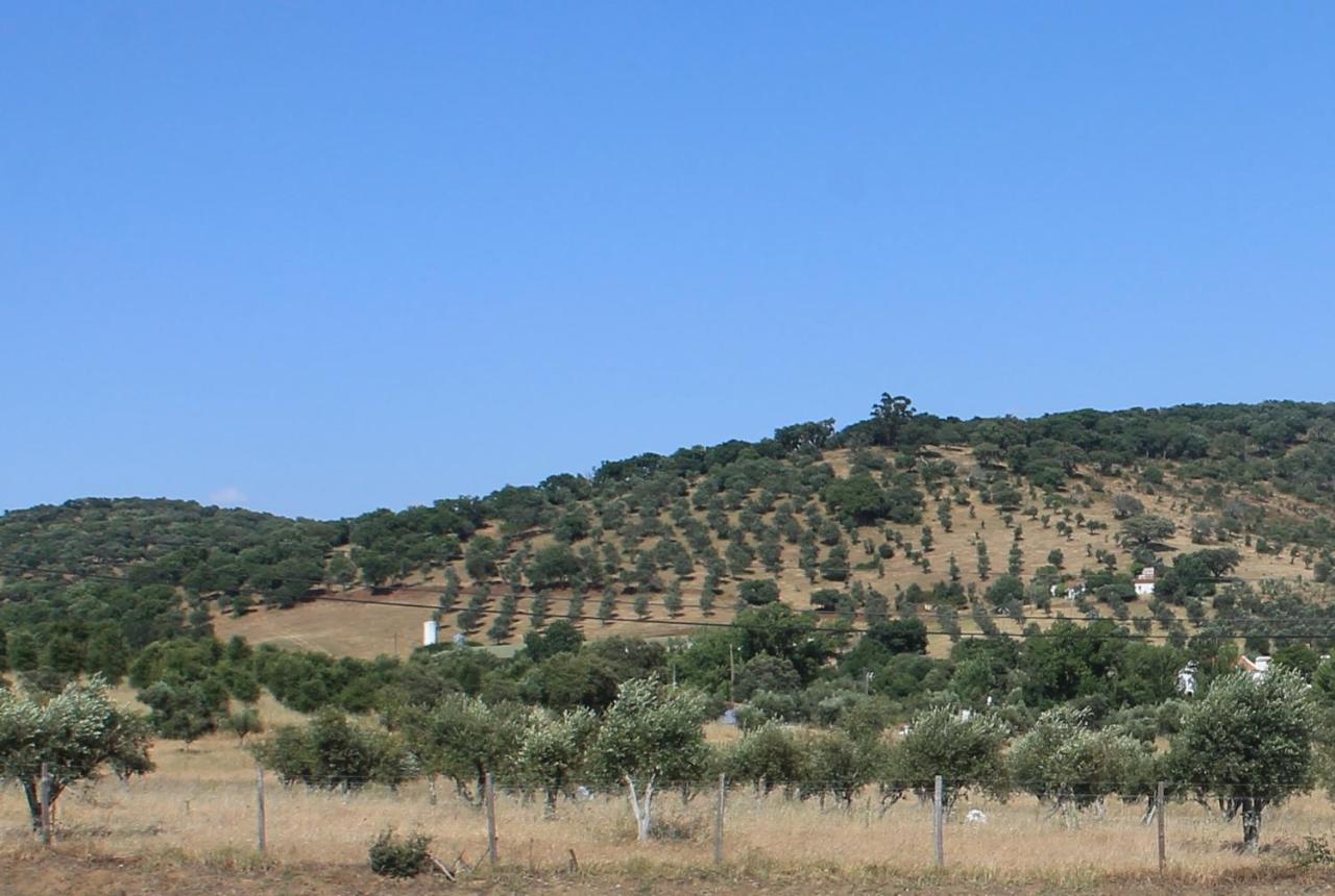 Girassol Alojamento Local Montemor-o-Novo Dış mekan fotoğraf